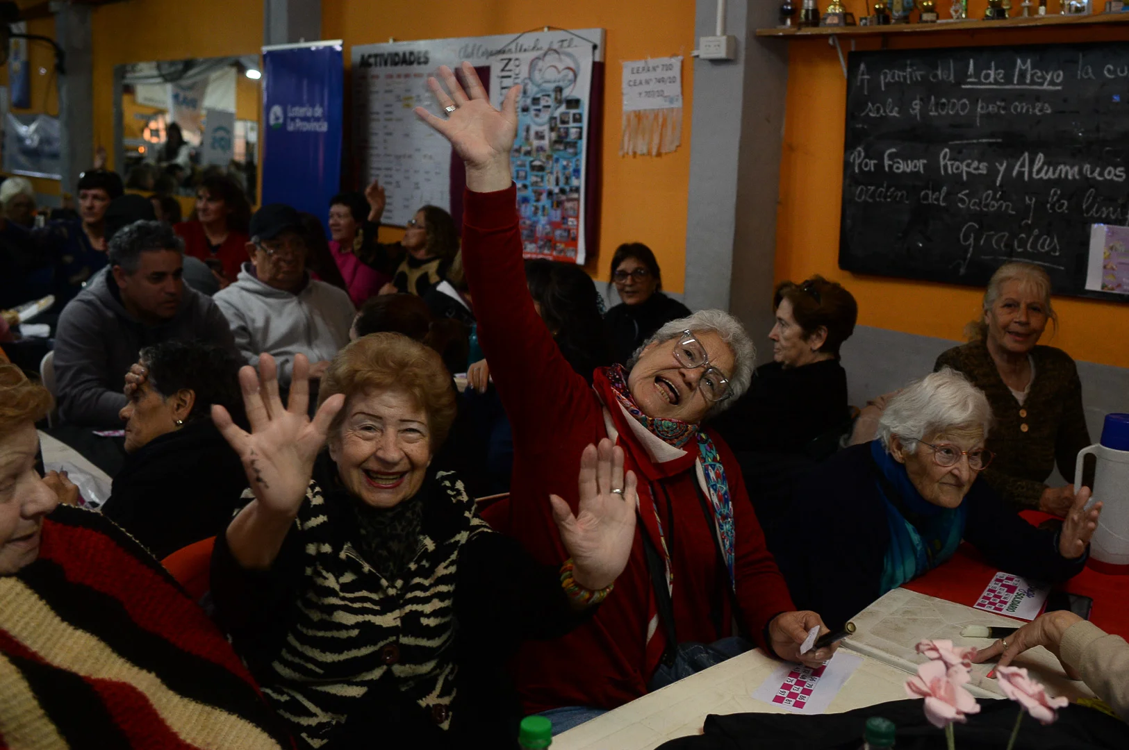 Bingo LP